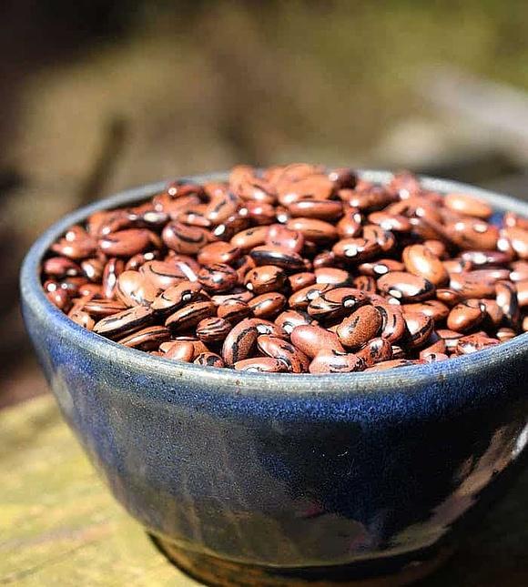 Heirloom san francisco beans with slow cooker or instant pot