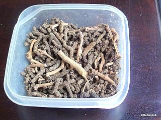 Thippili sathuamudhu - long pepper rasam