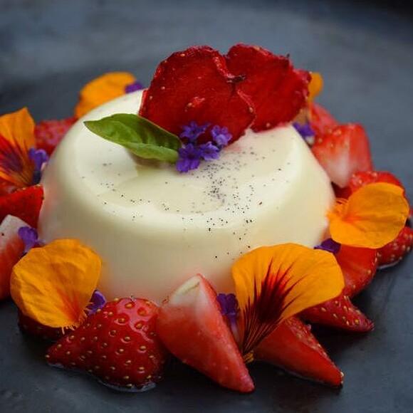 Vanilla Panna Cotta