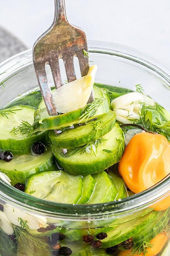Habanero cucumber quick pickles