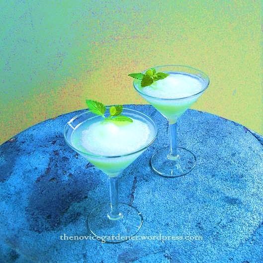Lemon balm: what do you do with it?