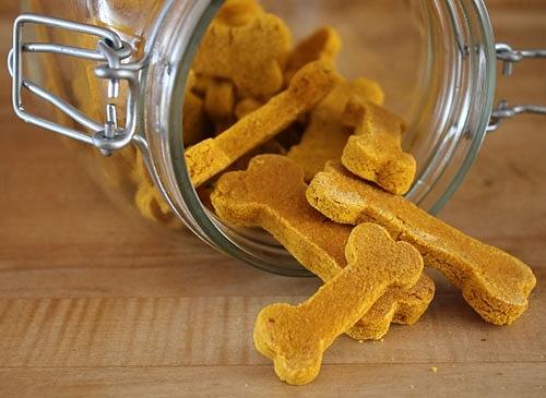 Homemade pumpkin dog treats