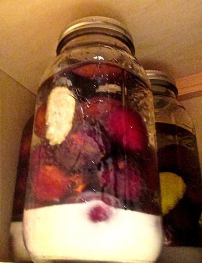 Slivovitz plum infusion recipe