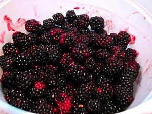 Paleo Blackberry Jam