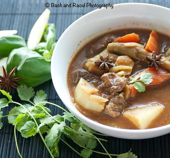 Bo kho vietnamese spicy beef stew