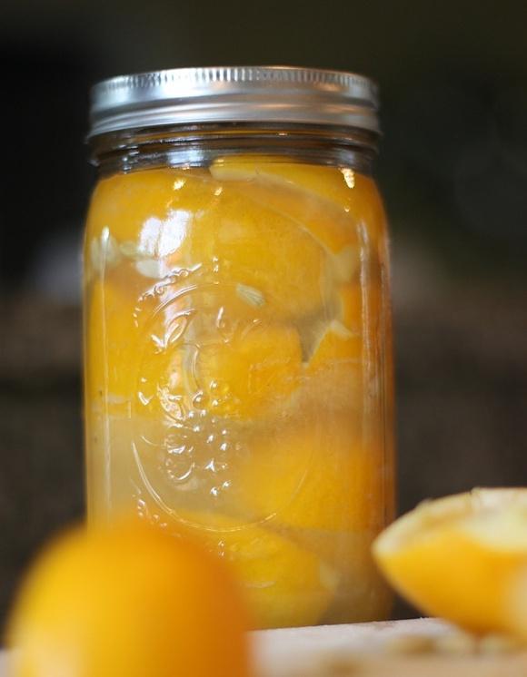 Meyer lemons preserved lemons