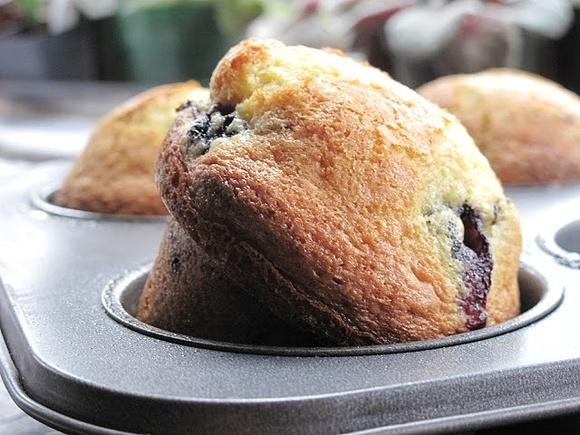 Blueberry Muffins