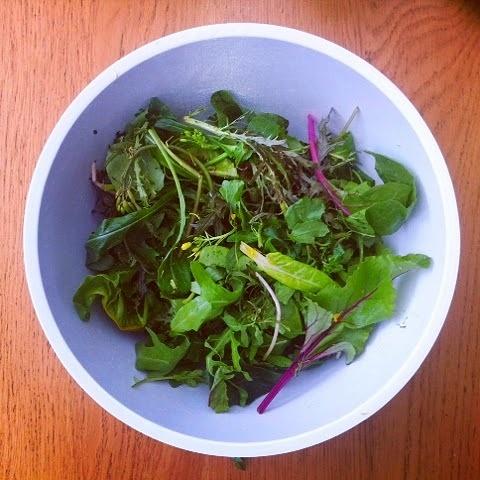 Growing communities salad for hackney
