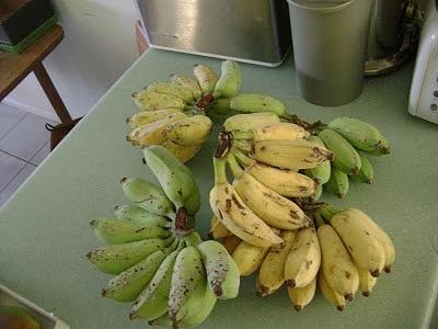 Banana-rama: tropical banana dessert recipe