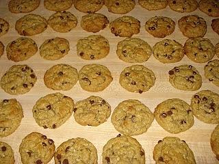 Sunbutter chocolate chip oat cookies free eggs dairy nuts