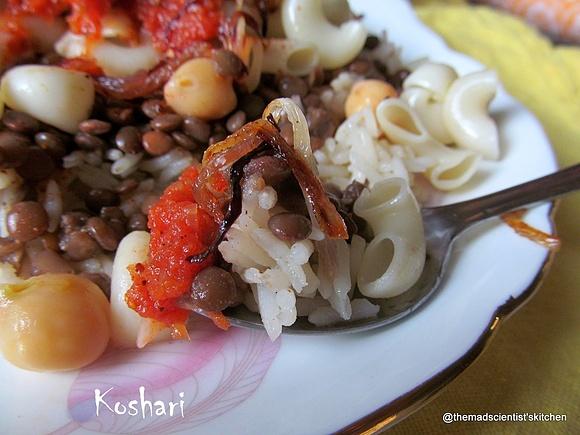 Kushari Egyptian dish with rice, lentils, chickpeas and tomato sauce