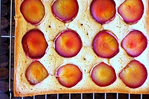 Dimpled Plum Cake