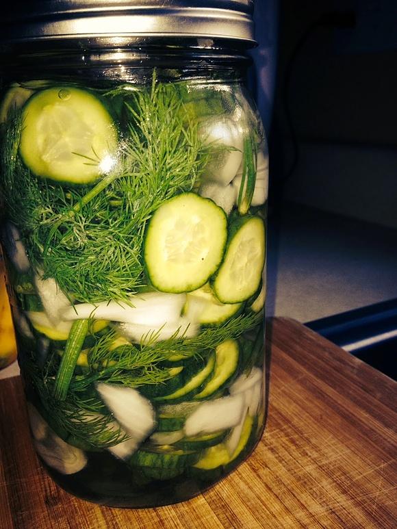 Refrigerator Pickles