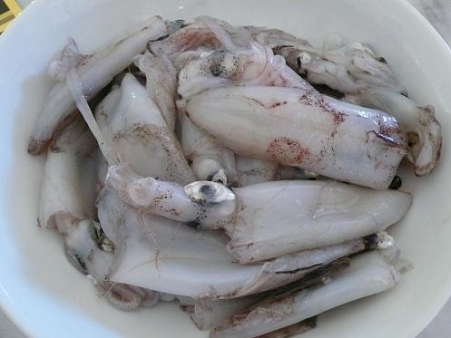 Fried Calamari