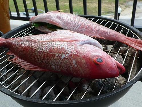 Grilled vermillion snapper and vegetables