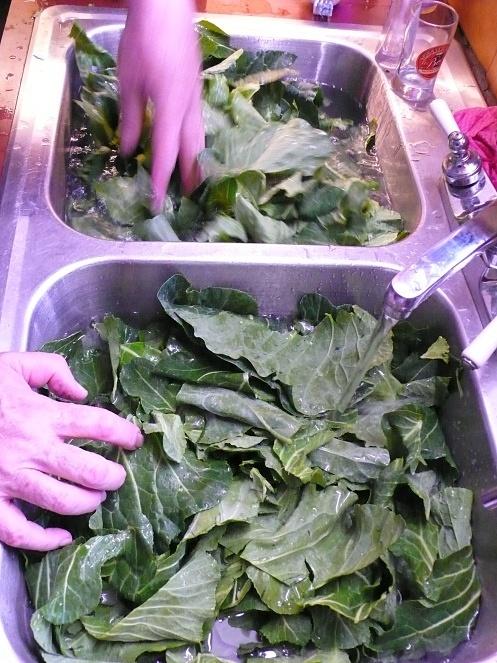 Collard Greens Recipe