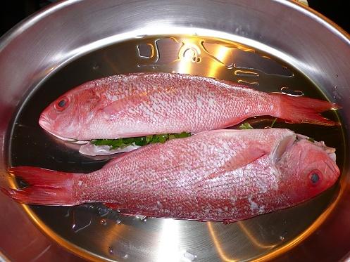 Red Snapper alla Ligure