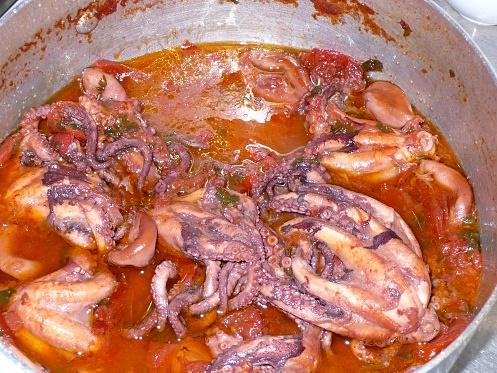 Octopus Luciana Style