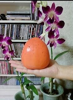 Dae-bong-kam persimmon - heart-shaped fruit from korea
